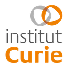 Institut Curie