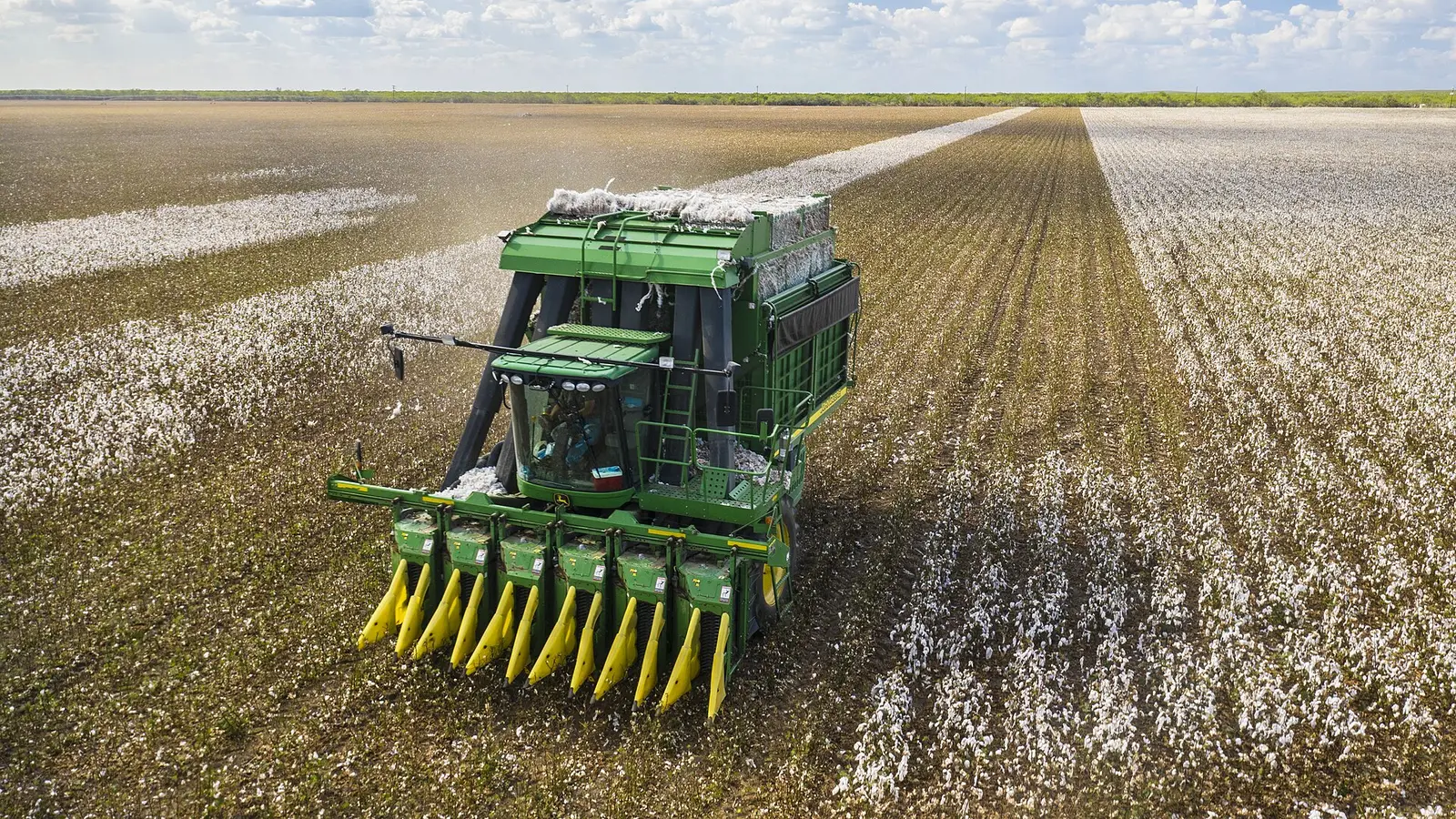 Aerial view of a green and yellow cotton harvester moving through a field of white cotton rows, under a cloudy sky, in Texas