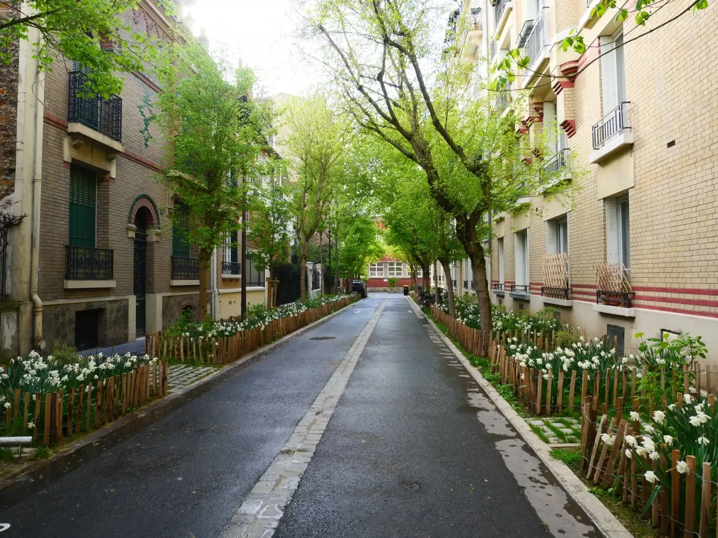 Residential street lined with planted strips on either side of the road