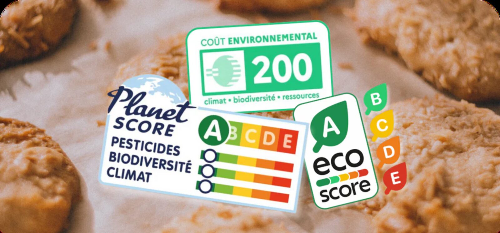 Affichage environnemental obligatoire : pour quels secteurs et à quelles dates ?