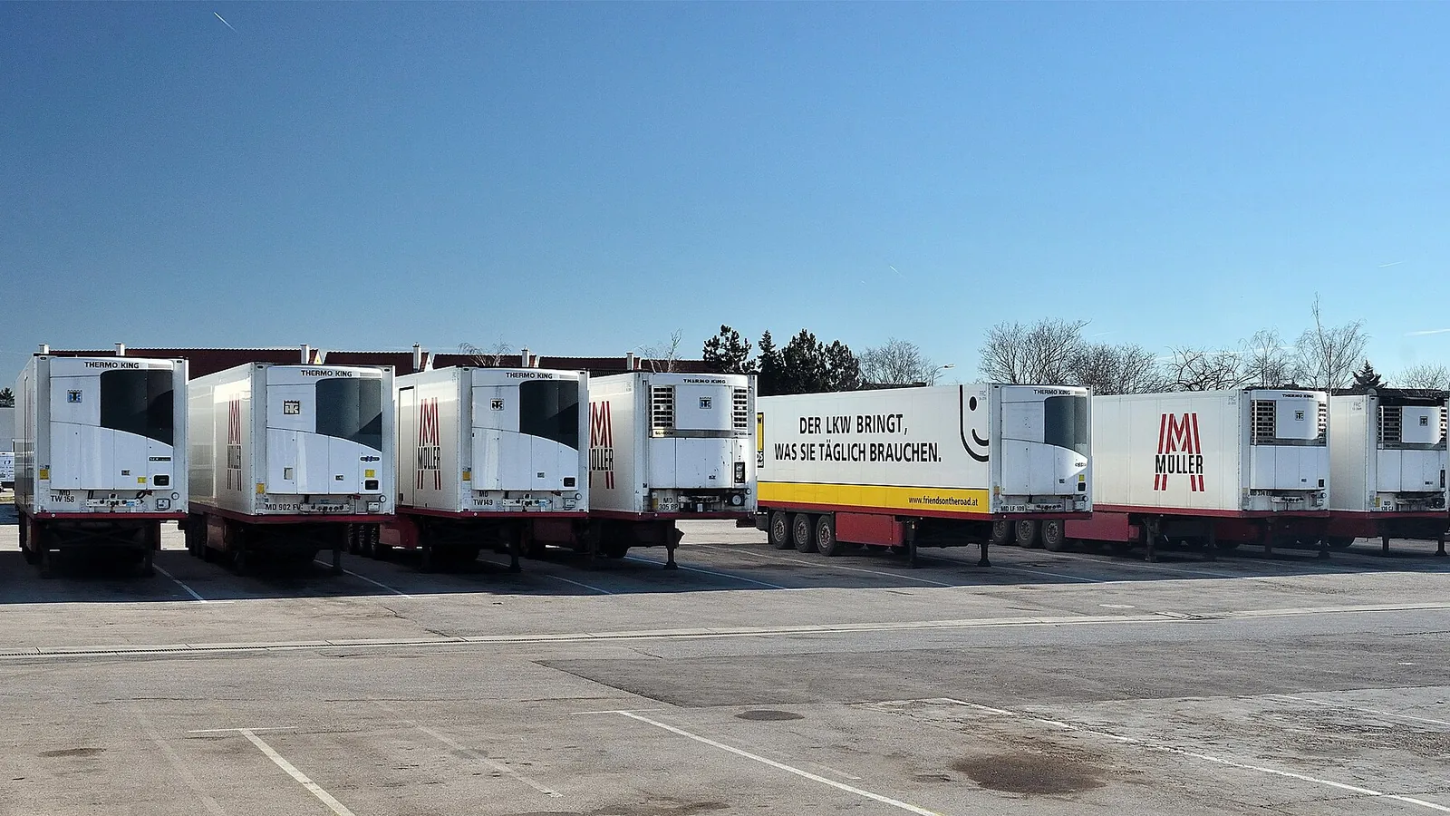 Row of white refrigerated semi-trailers parked in a logistics car park under a blue sky