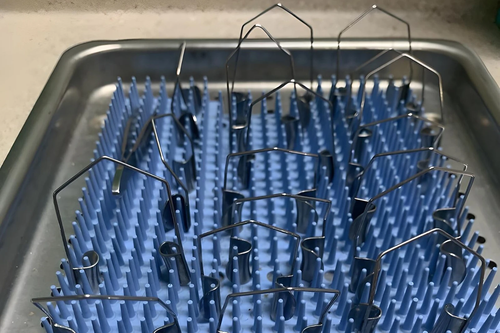 Steel eyelid speculums arranged on a blue spiked support in a stainless steel tray, before sterilisation
