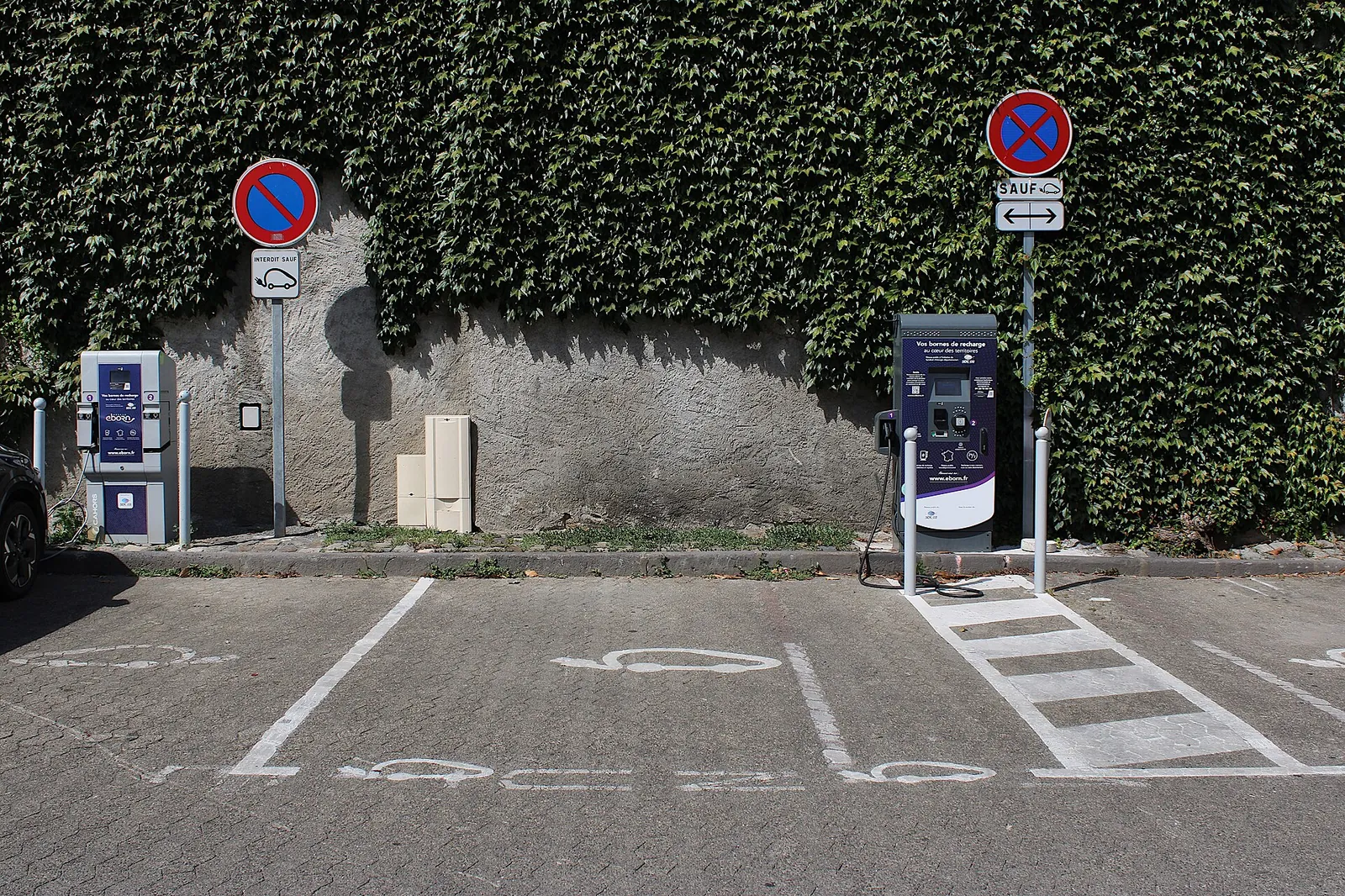 Parking spaces reserved for electric vehicles in front of 2 charging points beside an ivy-covered wall