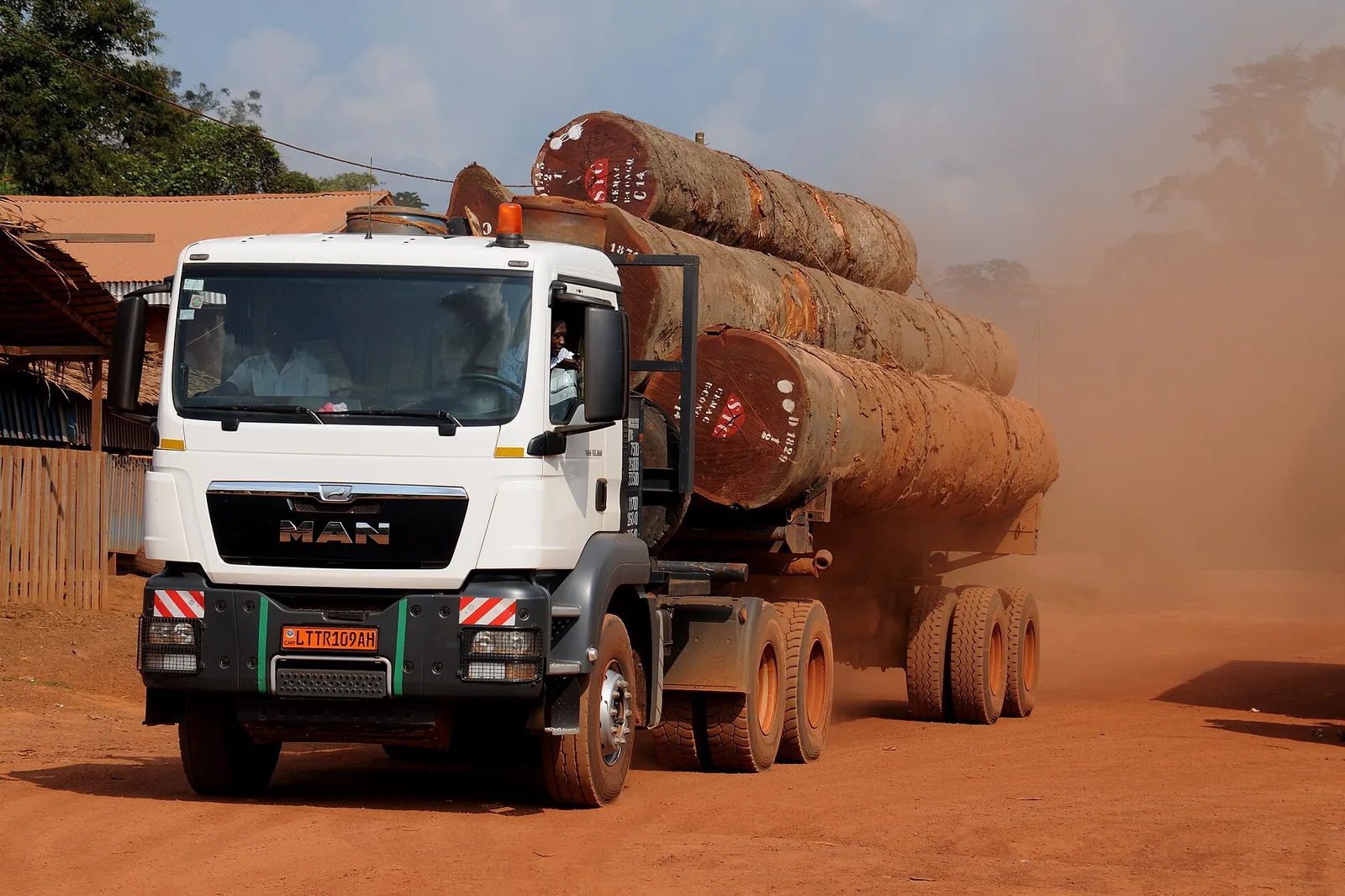 Lorry loaded with tropical timber logs on a red laterite track in Cameroon