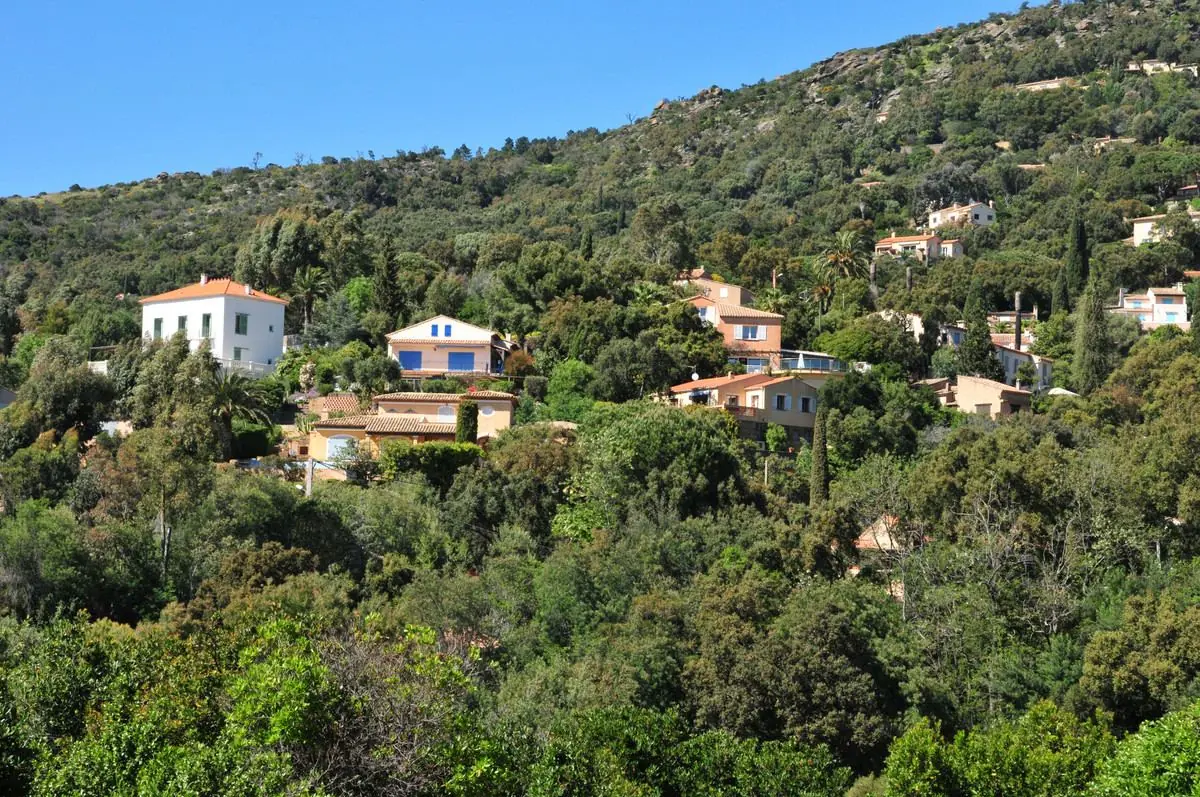 Scattered villas on a hillside, set into a Mediterranean wooded massif of cork oaks and pines