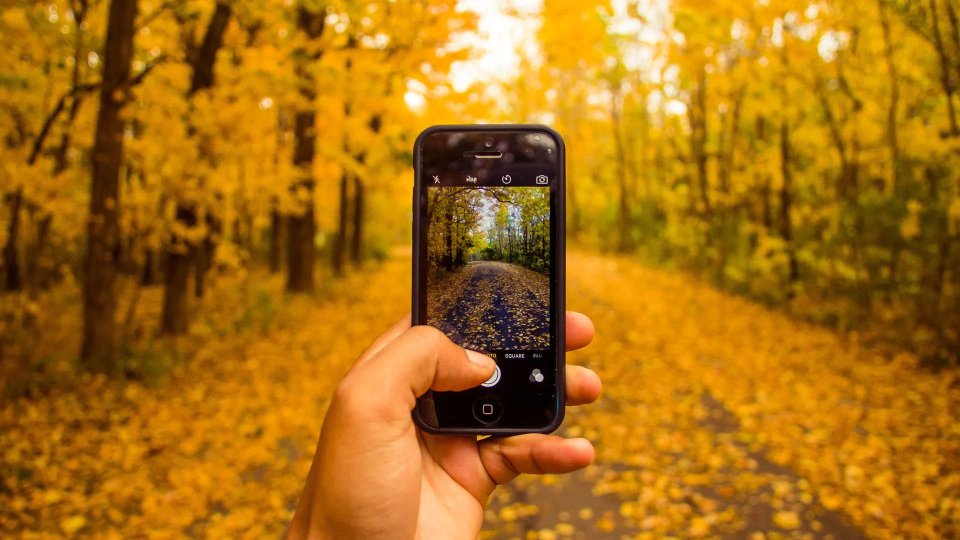 How to reduce the environmental impact of using AI: 10 ways