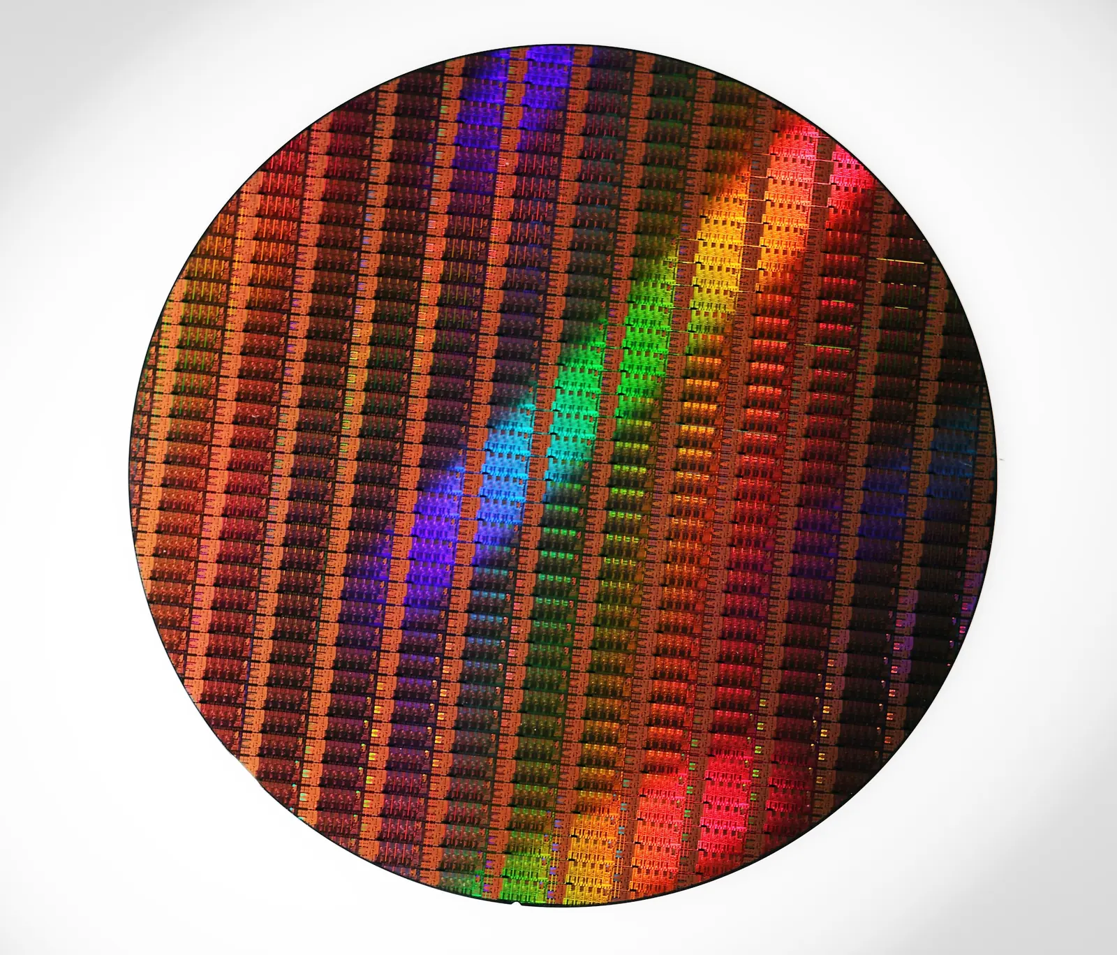 A silicon wafer seen from the front on a white background, covered with hundreds of chips with iridescent reflections