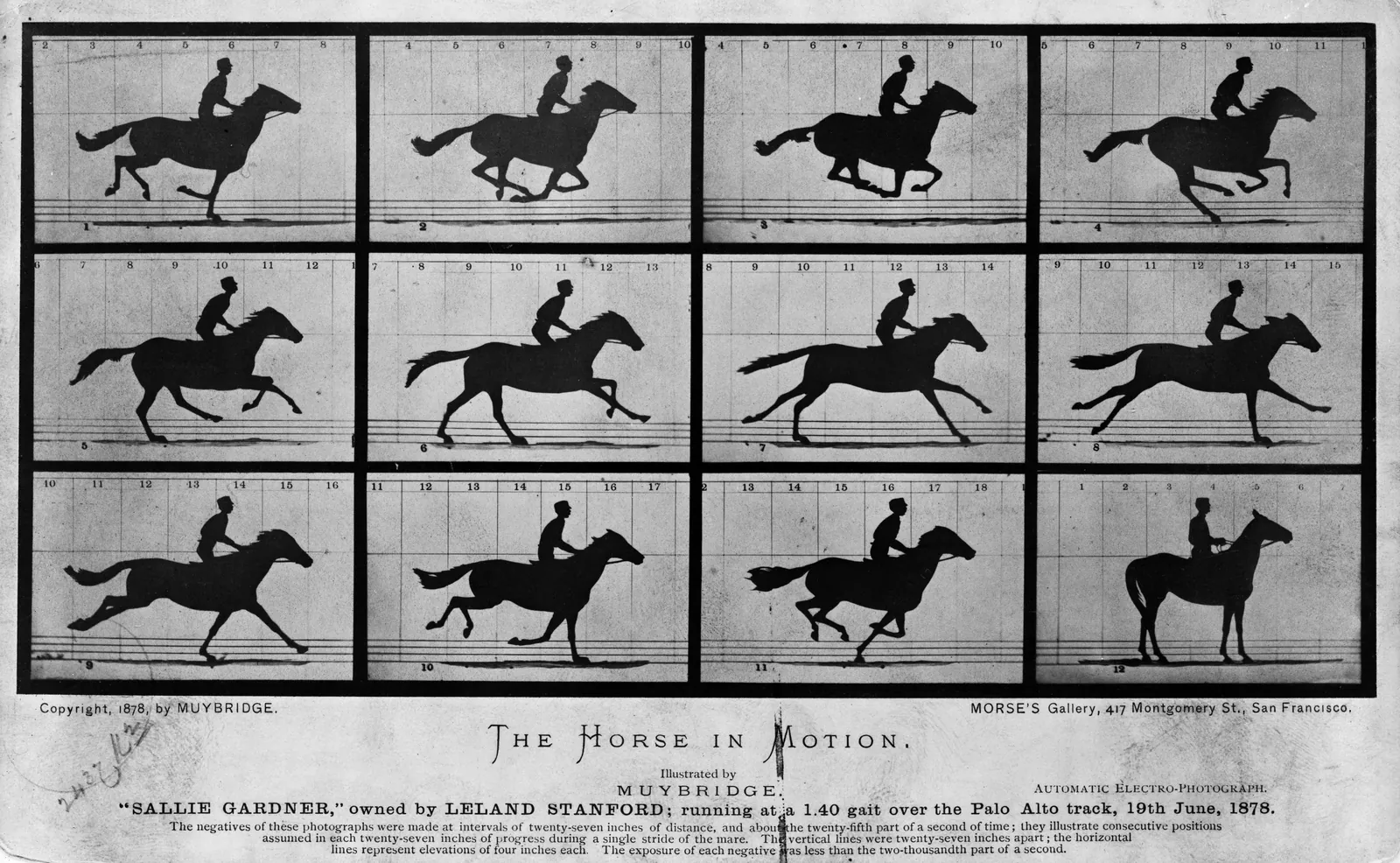 Plate of 12 black-and-white photographs of a mare at a gallop with a jockey on her back, with its original title card