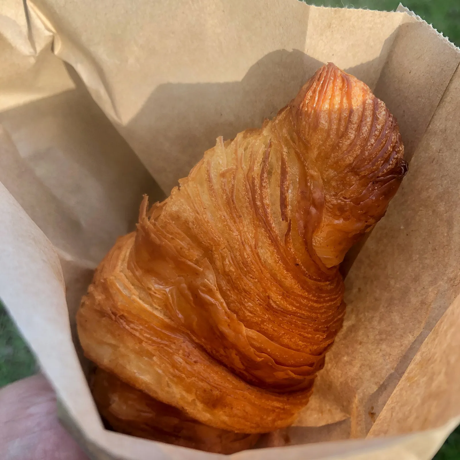 Butter croissant in a kraft paper bakery bag, held by hand above a lawn