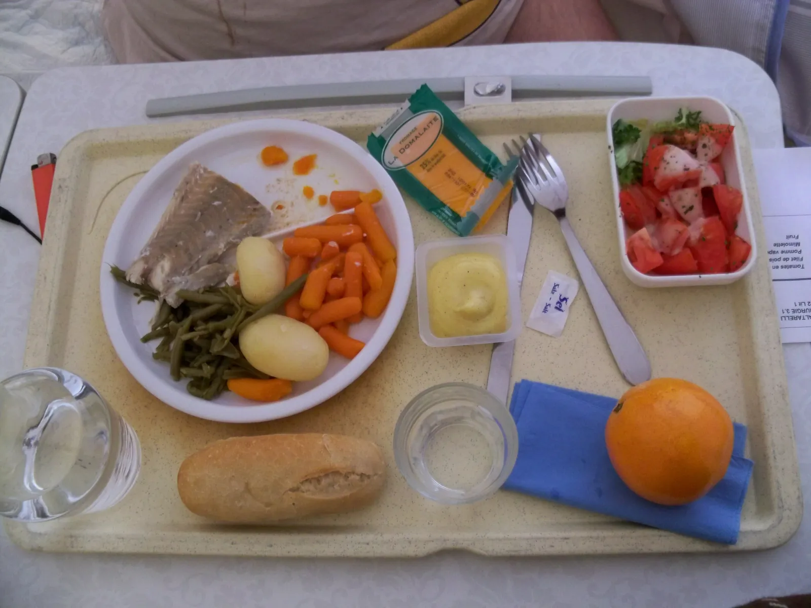 Hospital meal tray with fish and vegetables, a plastic mayonnaise cup, a salt sachet, a wrapped cheese portion and an orange