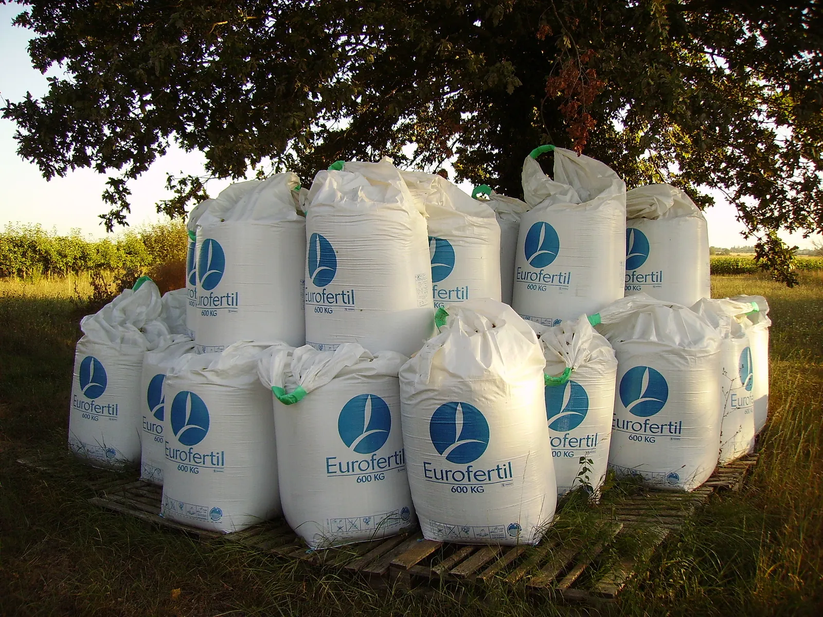 Fertiliser big bags on pallets at the edge of a field, under a tree
