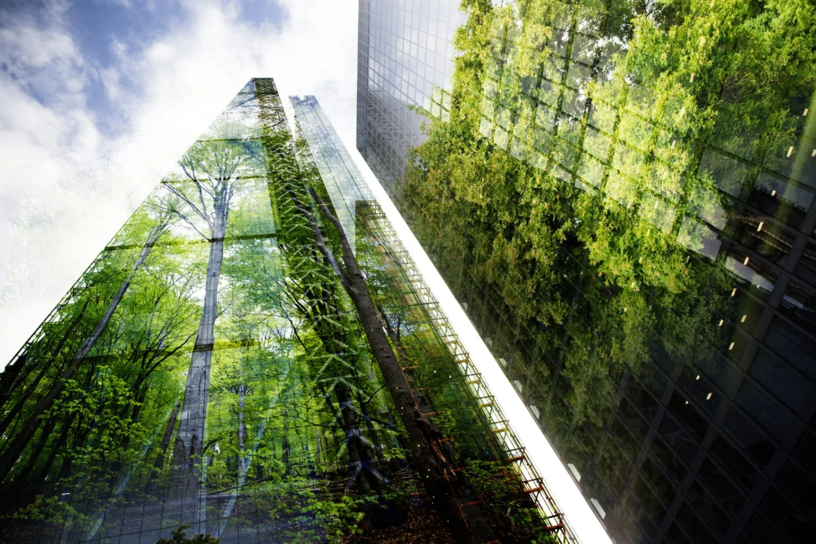 Green claims 2026 : que dire sans risquer le greenwashing ?