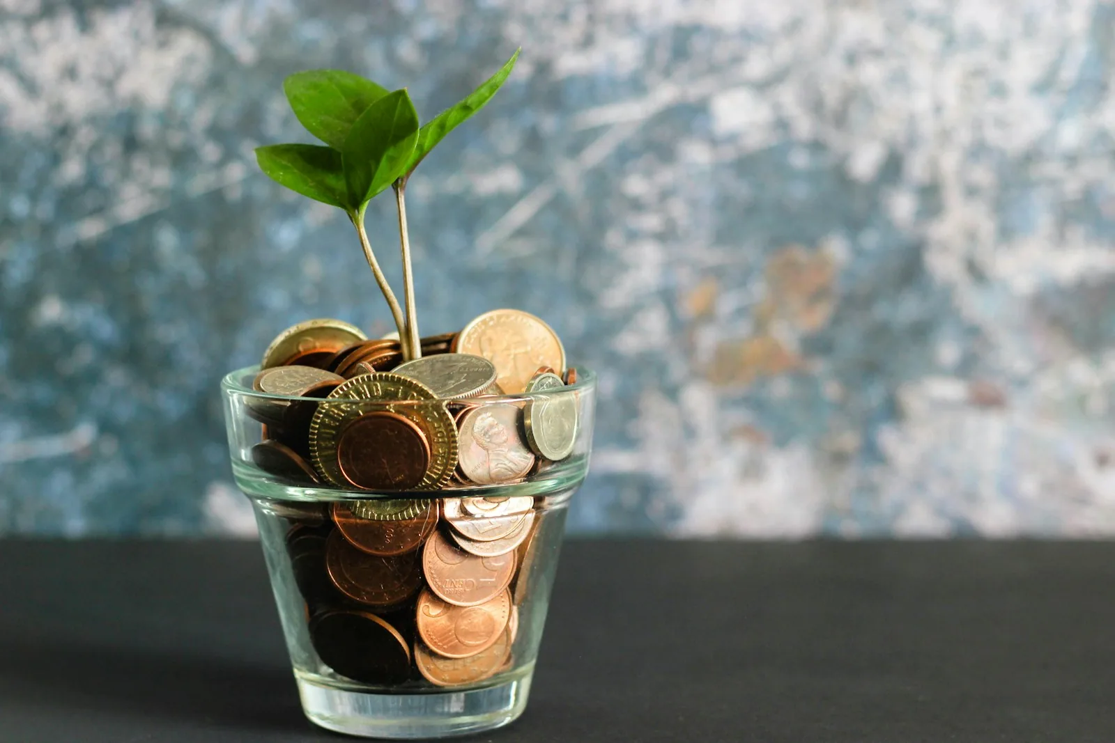 Un Bilan Carbone® peut-il coûter moins de 5 000 € ?